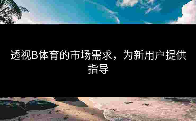 透视B体育的市场需求，为新用户提供指导