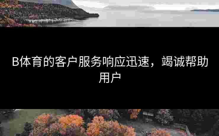 B体育的客户服务响应迅速，竭诚帮助用户