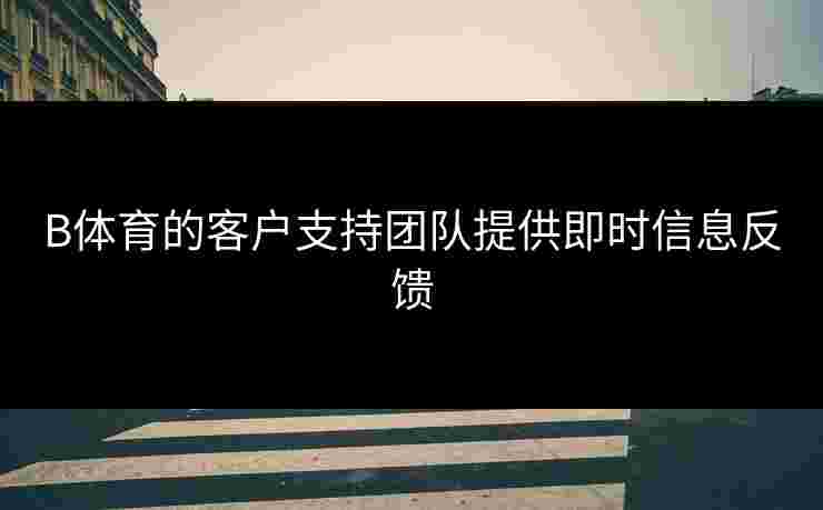 B体育的客户支持团队提供即时信息反馈