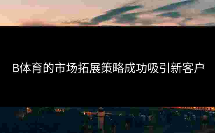 B体育的市场拓展策略成功吸引新客户