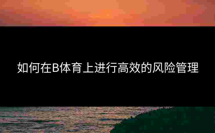 如何在B体育上进行高效的风险管理